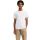 t-shirt homme  levis ss original hm tee white + jer