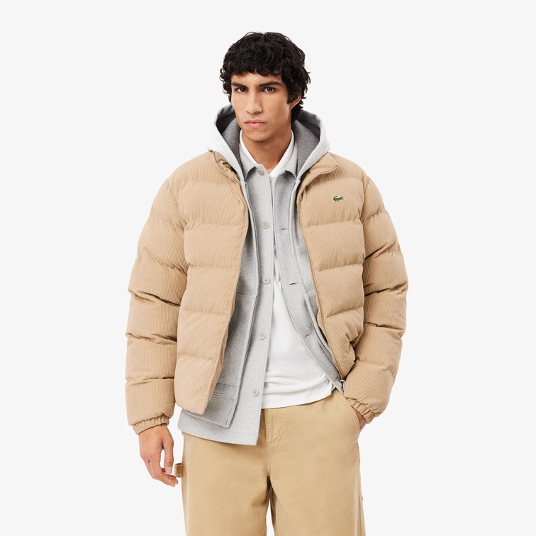 cazadora homme  lacoste blouson