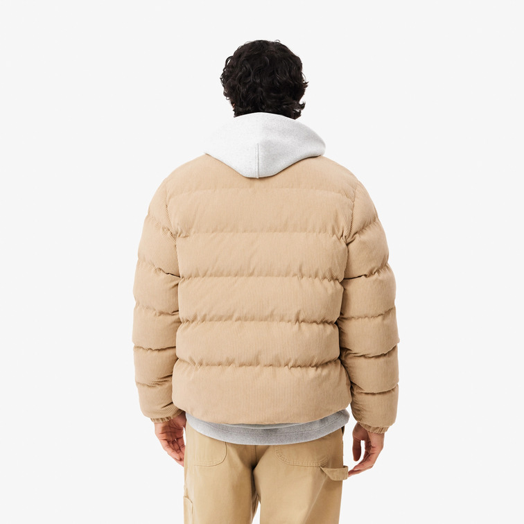 cazadora homme  lacoste blouson