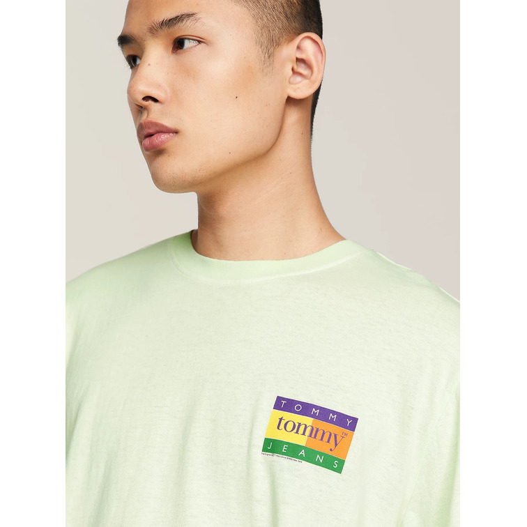 homme tjm reg summer flag tee ext lxy