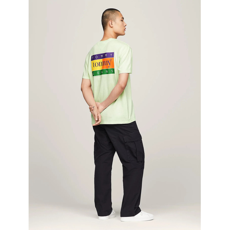 homme tjm reg summer flag tee ext lxy