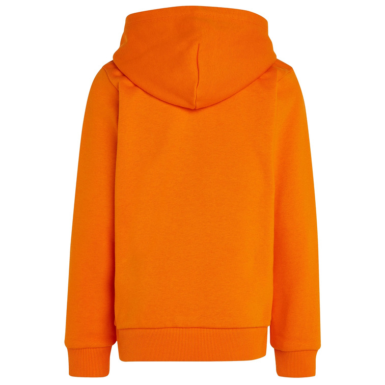 sweat-shirt garçon  th th logo puff print reg hoodie