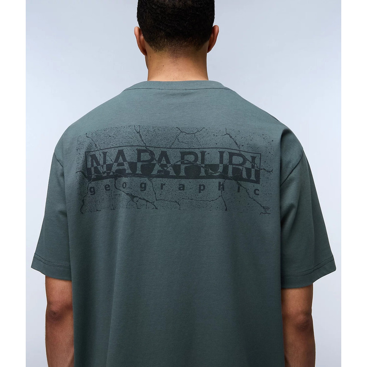 t-shirt homme  napapijri s-albula ss