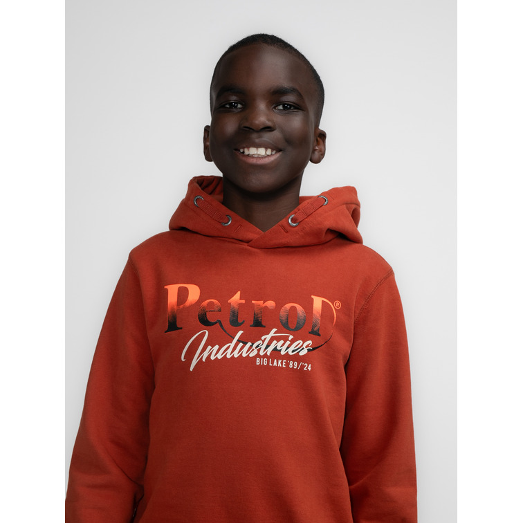 sweat-shirt garçon  petrol boys sweater hooded print