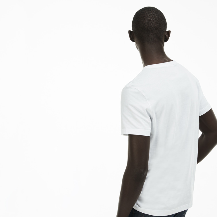 t-shirt homme  lacoste tee-shirt ras du cou manches c