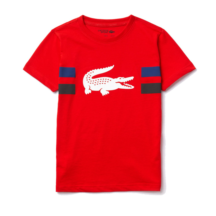 la chemise garçon  lacoste tee-shirt