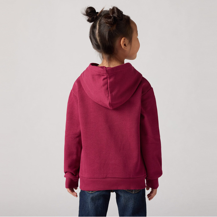 sweat-shirt fille  levi's junior lvg batwing chest hit hoodie