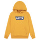 sweat-shirt garçon  levi's junior lvb batwing screenprint hoodie