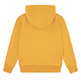 sweat-shirt garçon  levi's junior lvb-batwing screenprint hoodie