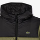 cazadora homme  lacoste blouson