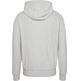 homme tjm reg arched logo hoodie pj4