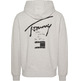 sweat-shirt homme  th tjm reg tommy spray paint hood