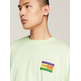 homme tjm reg summer flag tee ext lxy