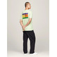 homme tjm reg summer flag tee ext lxy