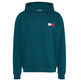 sweat-shirt homme  th tjm reg essential flag hood ex