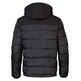 cazadora homme  petrol men jacket padded