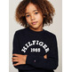 sweat-shirt garçon  th hilfiger 1985 sweatshirt