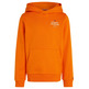 sweat-shirt garçon  th th logo puff print reg hoodie