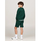 sweat-shirt garçon  th th logo puff embr reg sweatshi