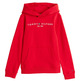 sweat-shirt   tommy hilfiger u essential hoodie