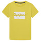 t-shirt garçon  pepe jeans bairon