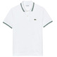 pôle homme  lacoste chemise col bord-cotes manches