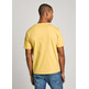 t-shirt homme  pepe jeans eggo n