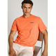 t-shirt homme  pepe jeans sam tee