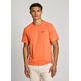 t-shirt homme  pepe jeans sam tee