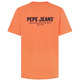 t-shirt homme  pepe jeans sam tee