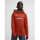 sweat-shirt garçon  petrol boys sweater hooded print