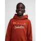 sweat-shirt garçon  petrol boys sweater hooded print