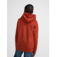 sweat-shirt garçon  petrol boys sweater hooded print