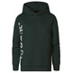 sweat-shirt garçon  petrol boys sweater hooded