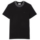 t-shirt homme  lacoste tee-shirt