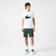 t-shirt homme  lacoste tee-shirt