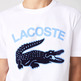 t-shirt homme  lacoste tee-shirt